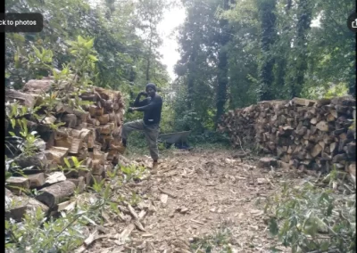 Excellent tree expert