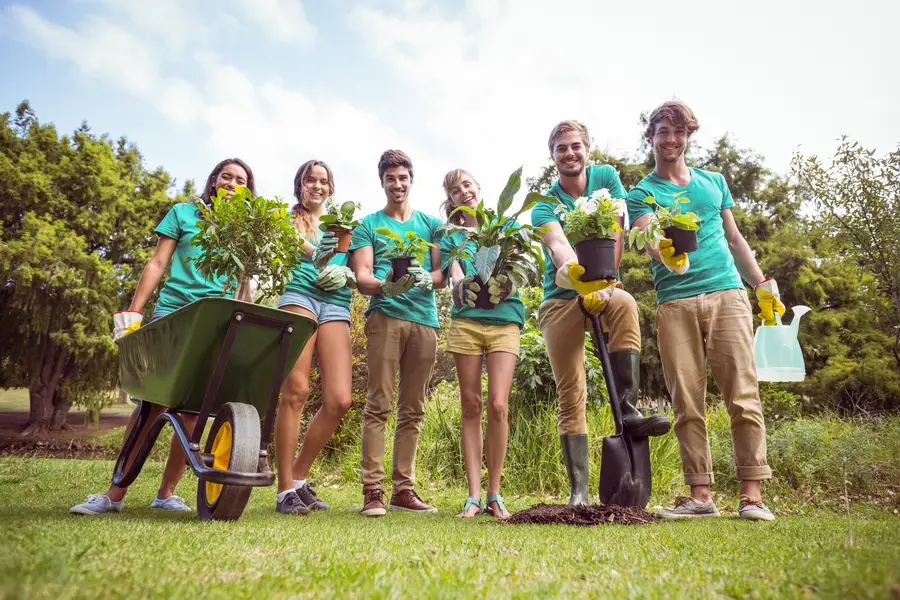 The Benefits Of Tree Planting Services For Property Value Greensboro, NC